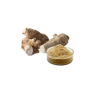 American Ginseng Extract