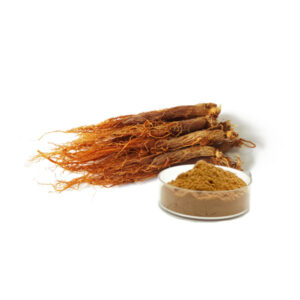 Korea Red Ginseng Extract