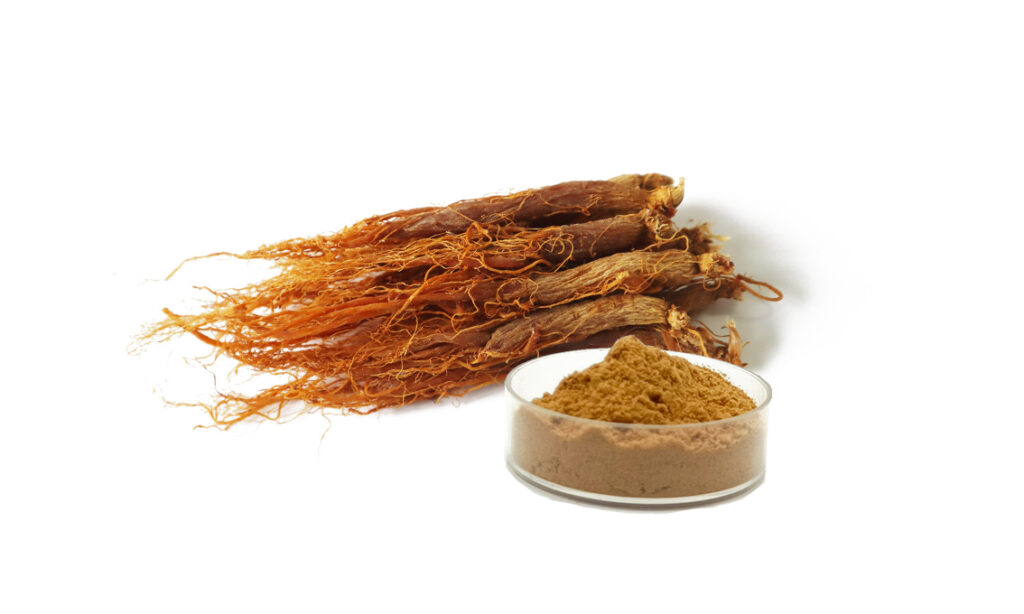 Korea Red Ginseng Extract