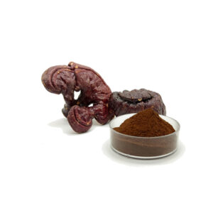 Reishi Mushroom Extract