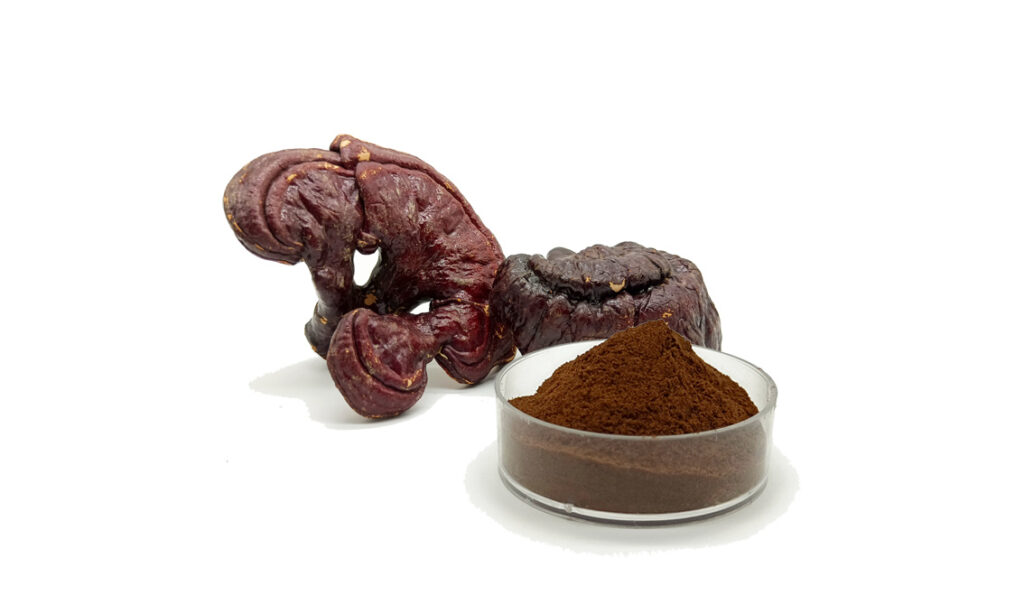 Reishi Mushroom Extract