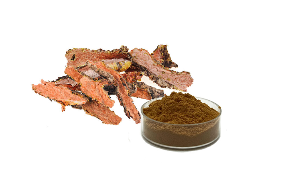 Rhodiola Rosea Extract