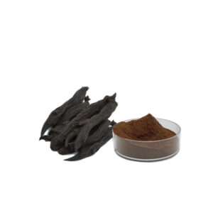 Black Ginseng Extract